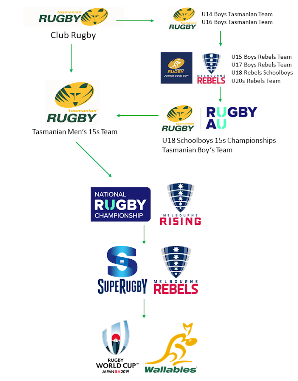 Men's XV Tasmanian Rugby Pathways Diagram