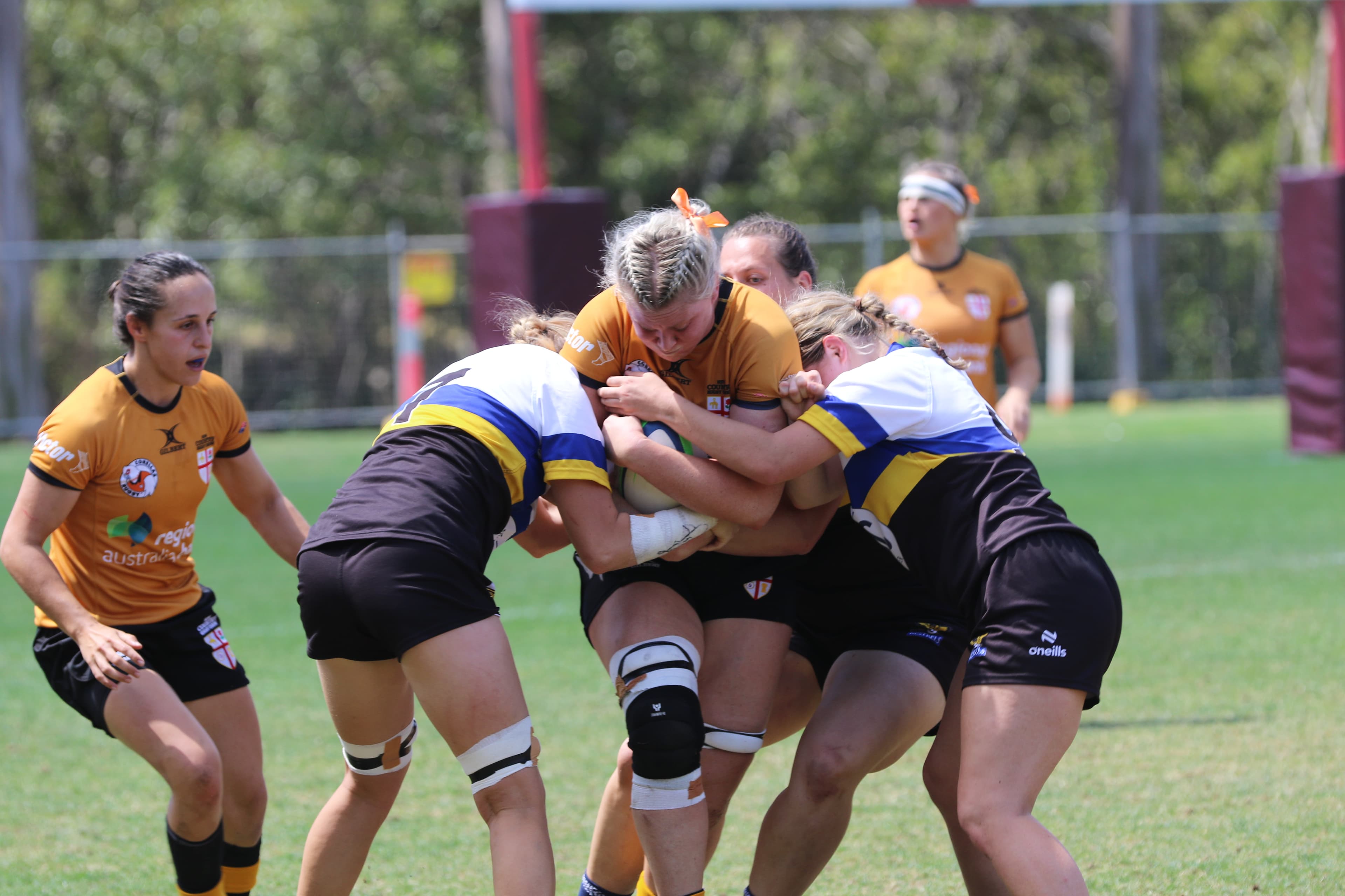 Day 2 ARS 2023 - NSW Country Corellas v ACT/SNSW Kestrels