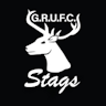 Glenorchy Stags Mens
